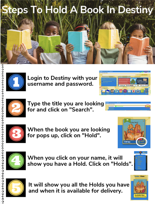 How to Hold a Book in Destiny 