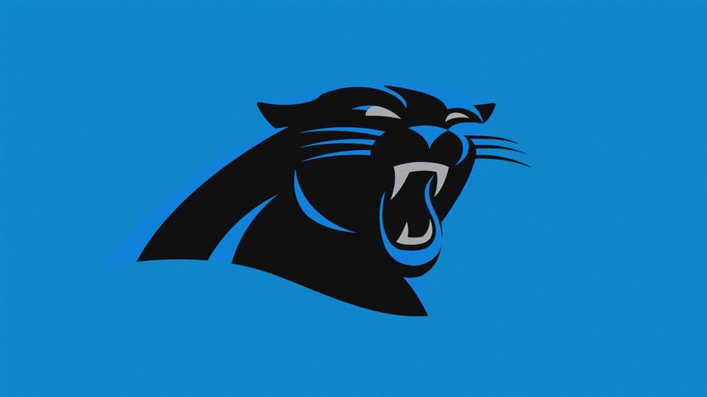  panthers