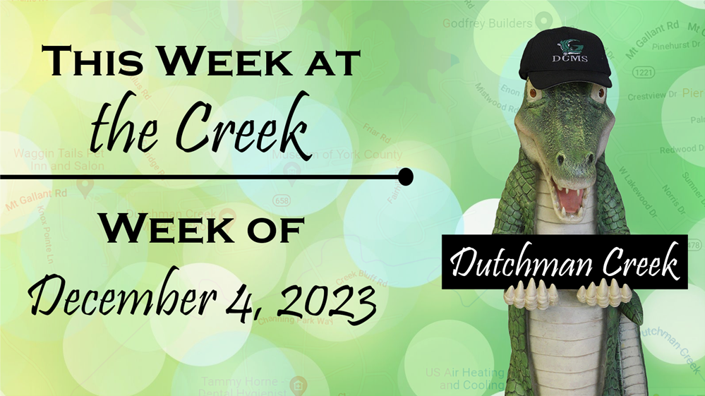  This week at the Creek: Gator