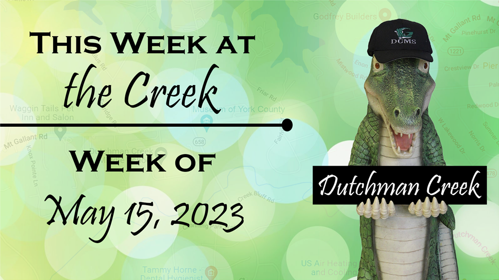  This week at the Creek: Gator
