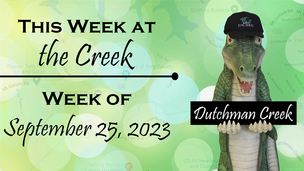  This week at the Creek: Gator