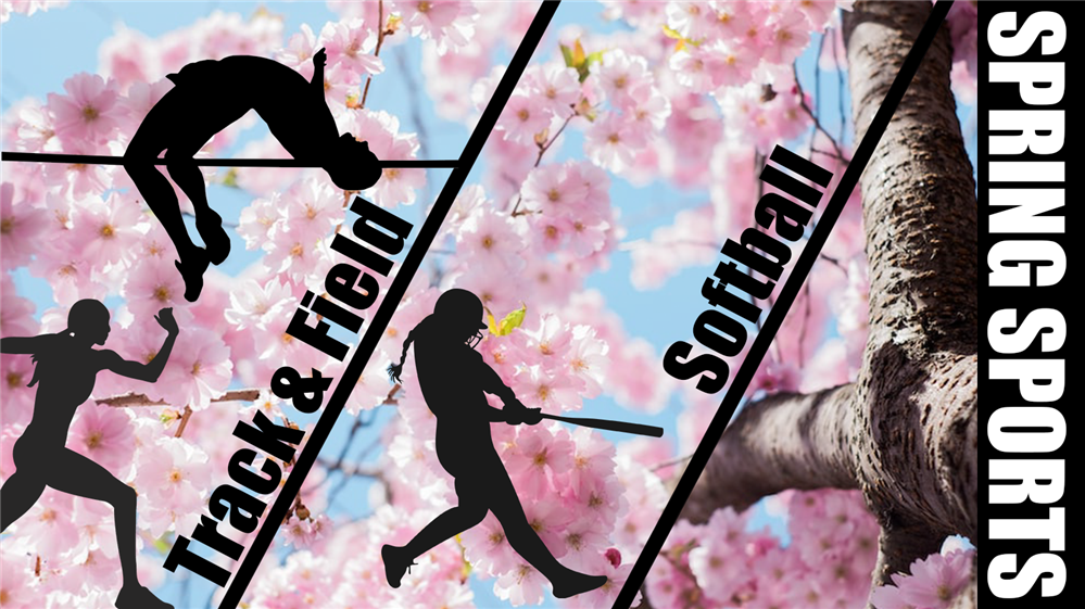  Spring design