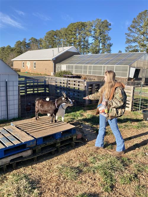 High school senior with Goats at ATC 