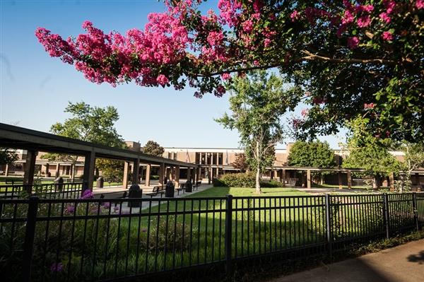 campus